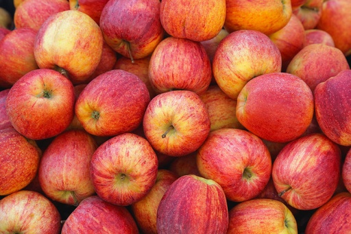 Pomme Jonagold kg