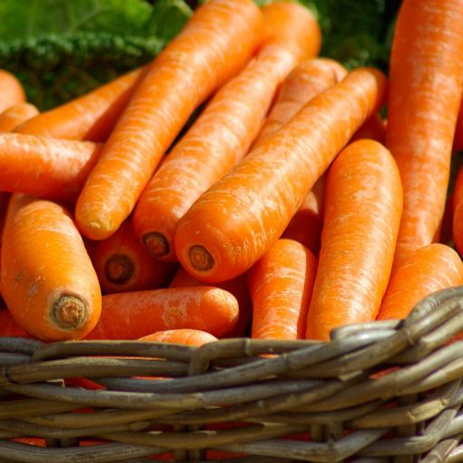 Carottes kg