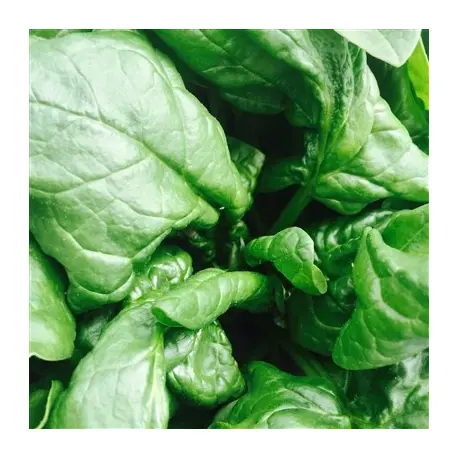 Epinards - 500g
